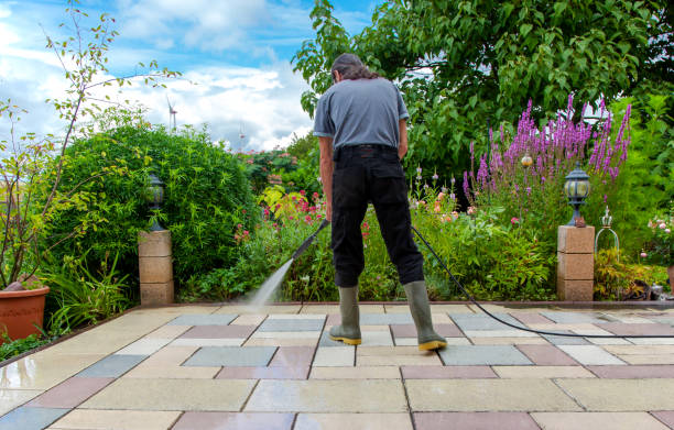 Animal Enclosure Cleaning in Henderson, LA