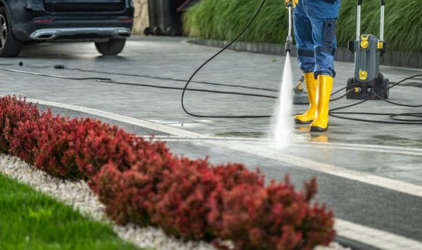 Professional Pressure Washing in Henderson, LA